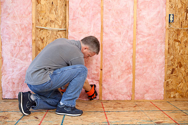 Best Spray Foam Insulation  in USA